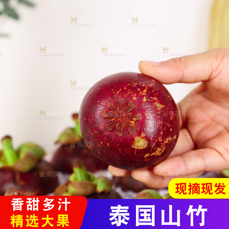 山竹