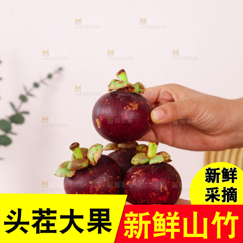 山竹