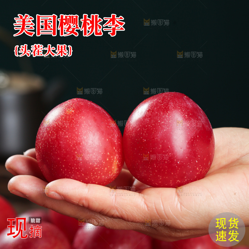 樱桃李