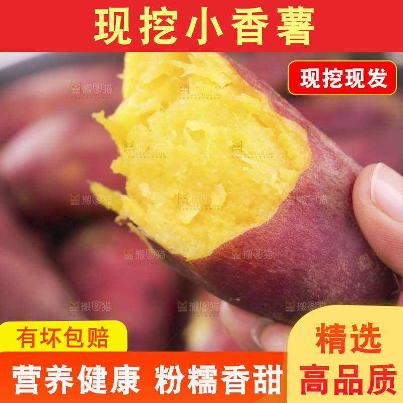 小香薯