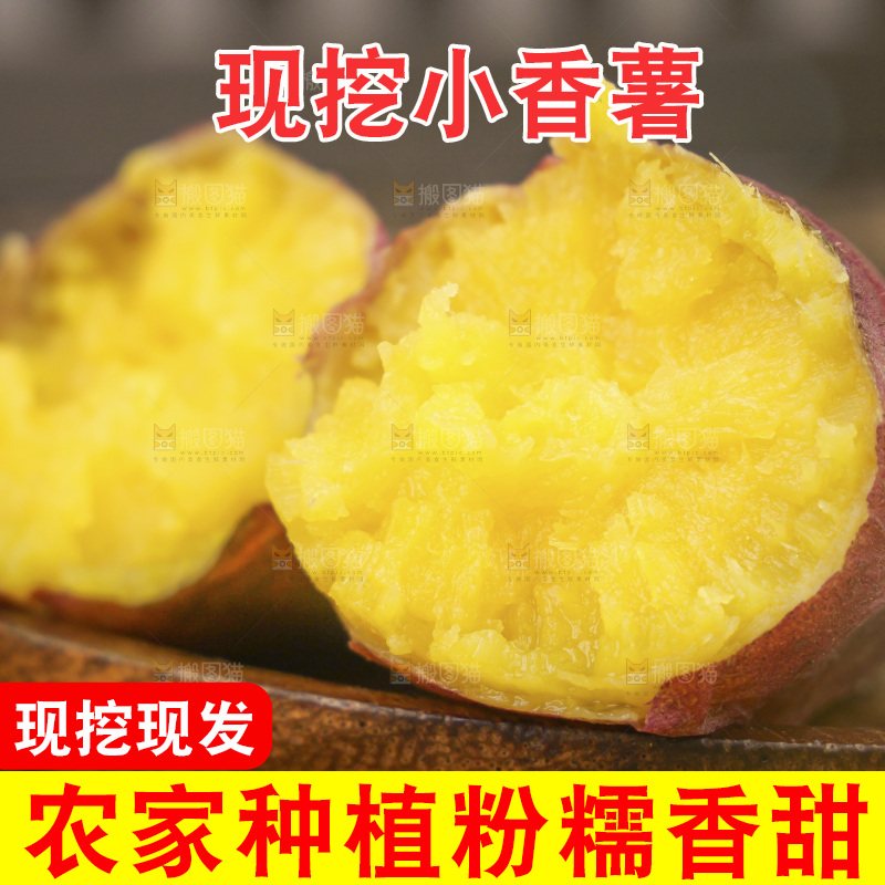 小香薯