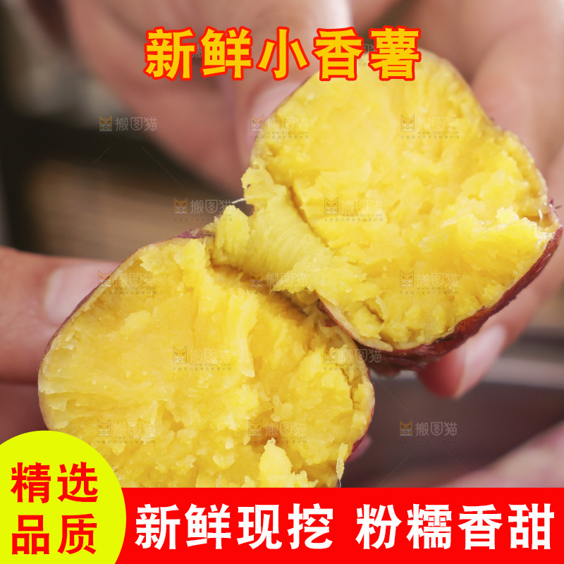 小香薯