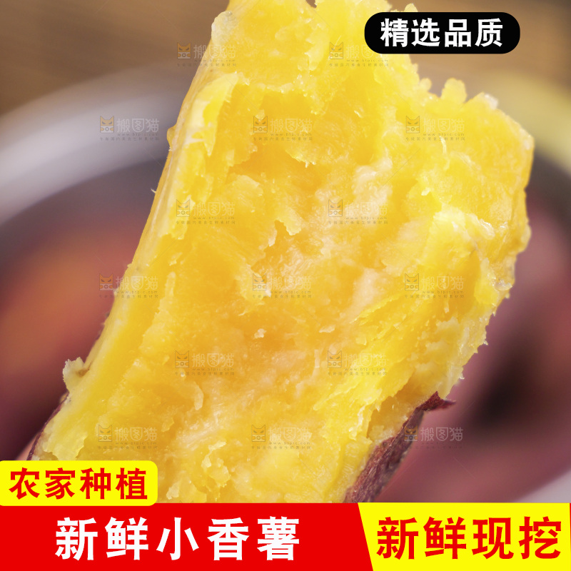 小香薯