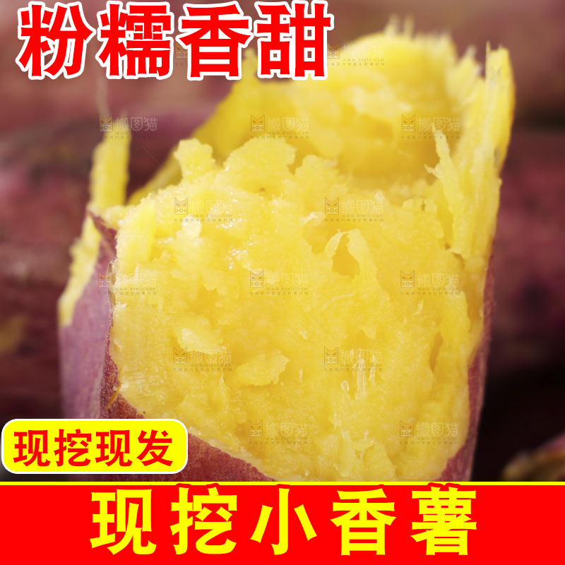 小香薯