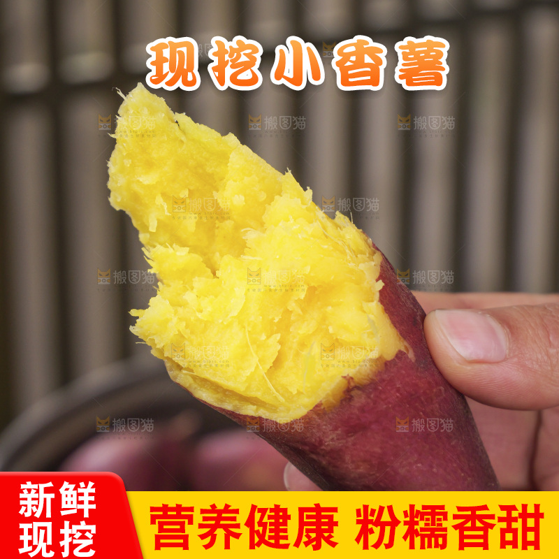 小香薯