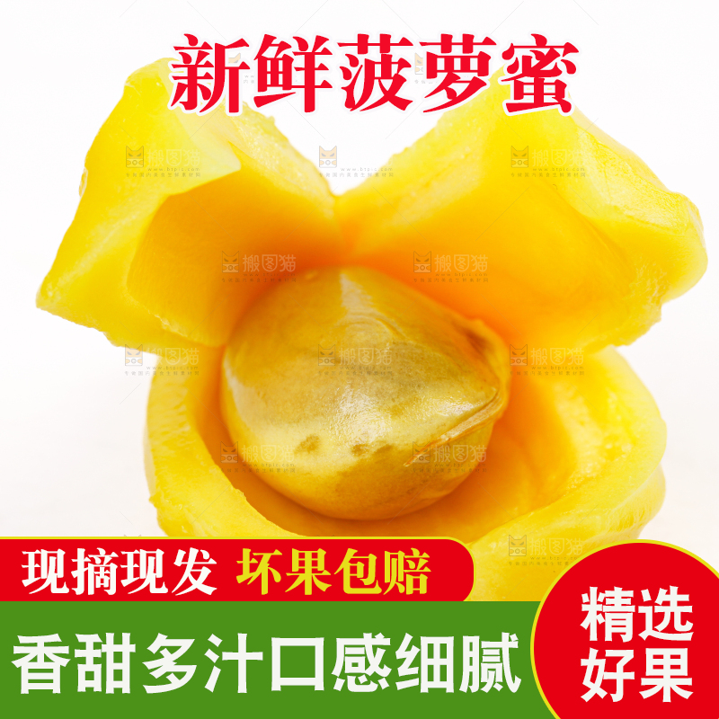 菠萝蜜