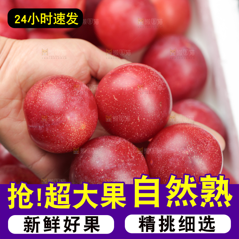 樱桃李