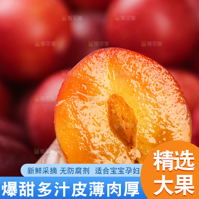 樱桃李