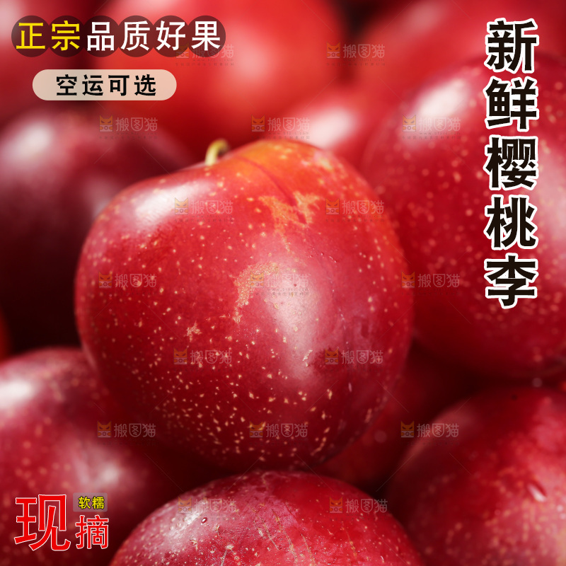 樱桃李