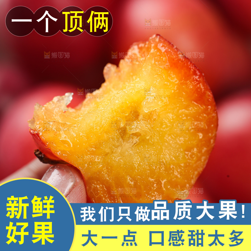樱桃李