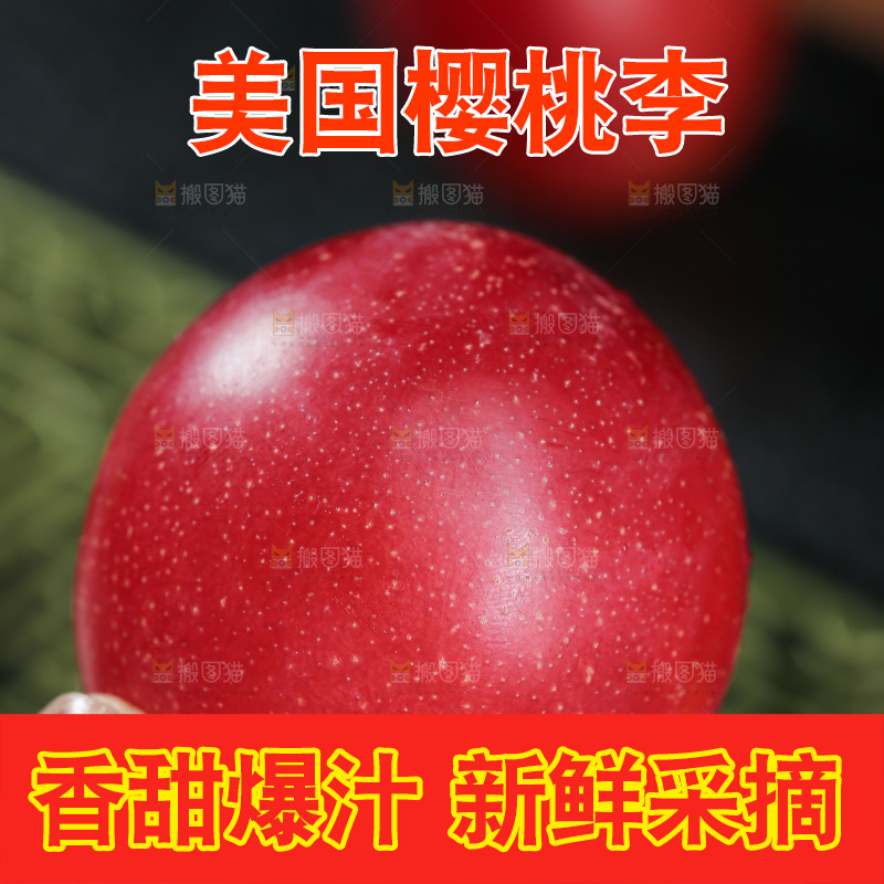 樱桃李