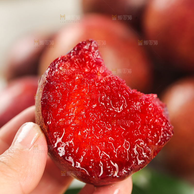 凤凰李