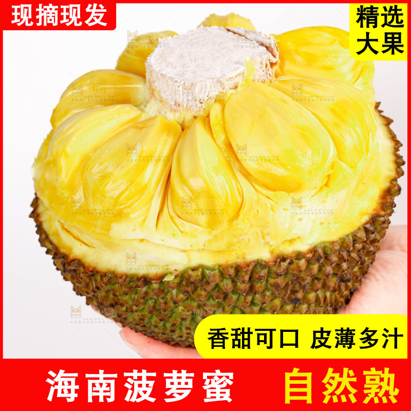 菠萝蜜
