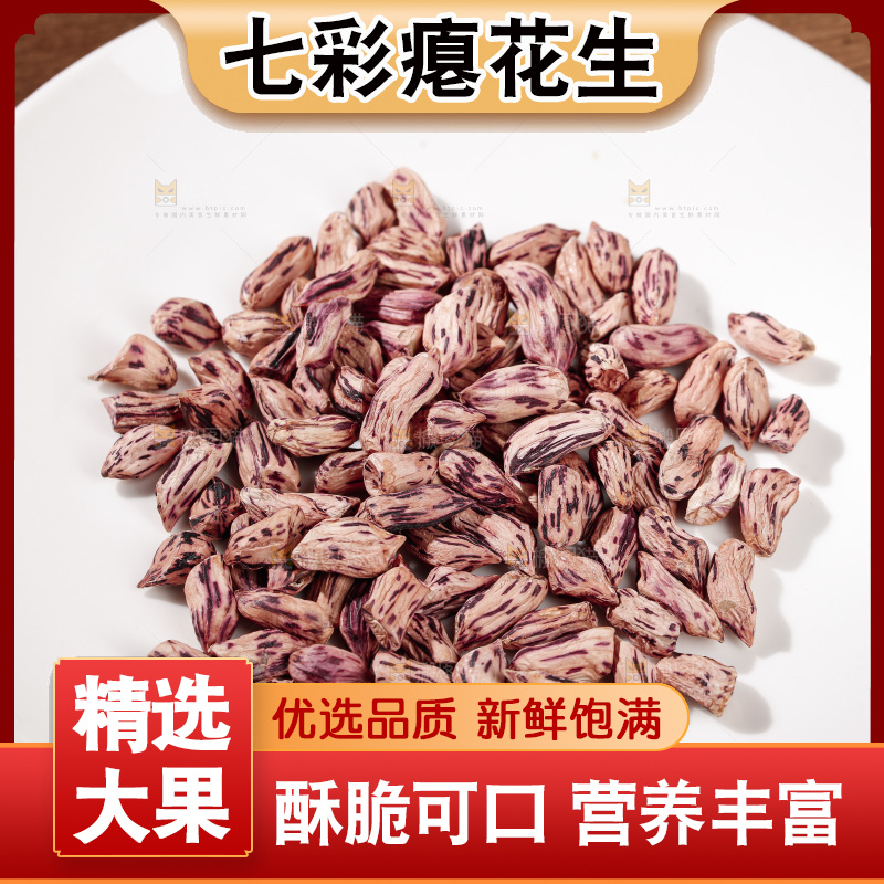 七彩瘪花生