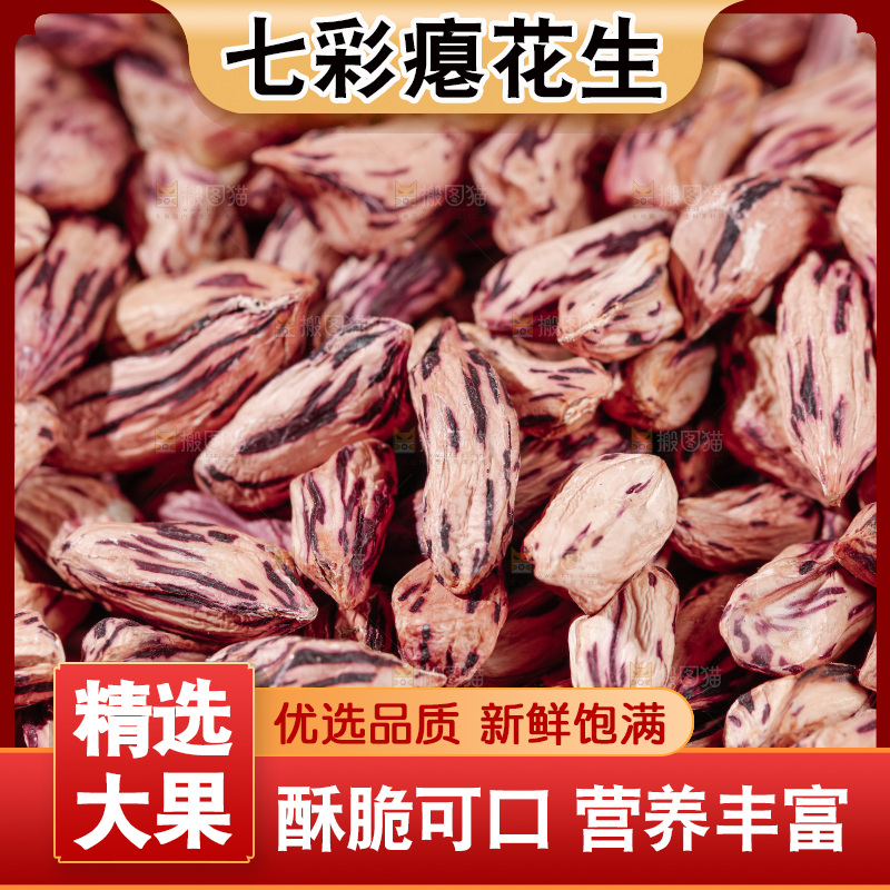 七彩瘪花生