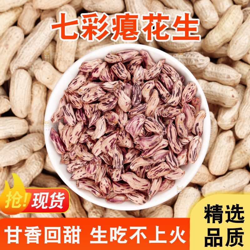 七彩瘪花生