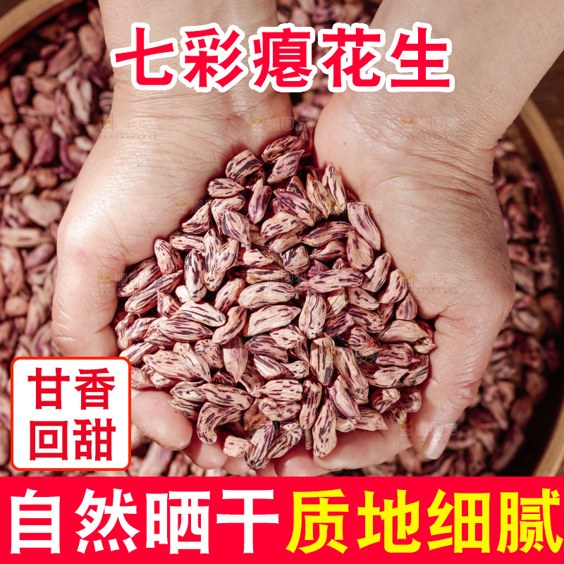 七彩瘪花生