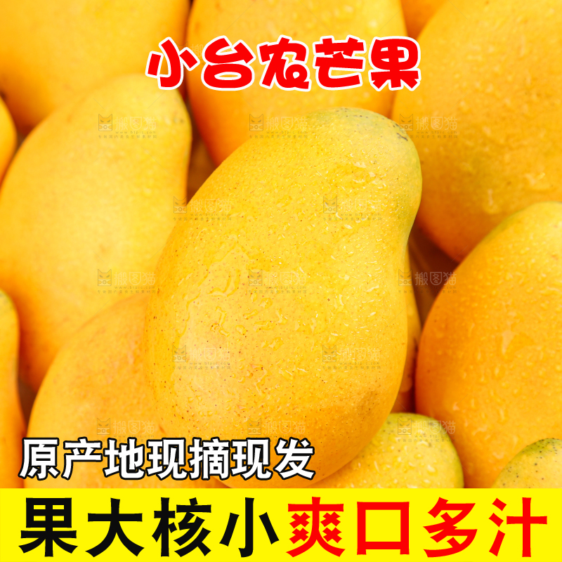 小台芒