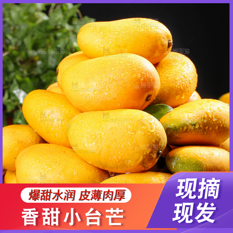小台芒