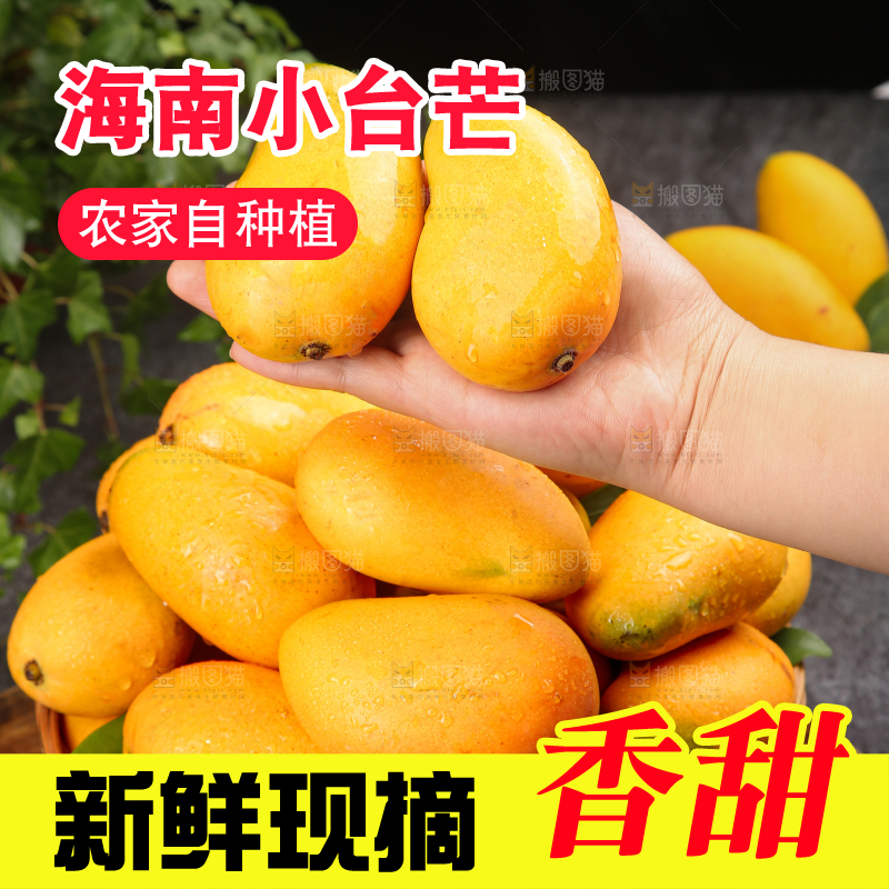 小台芒