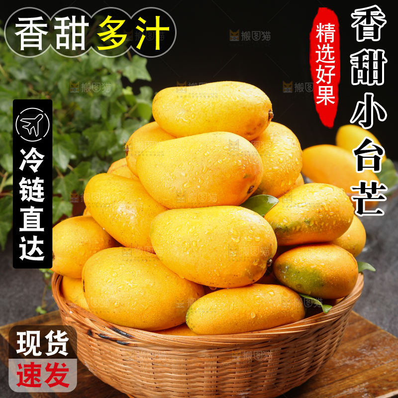 小台芒