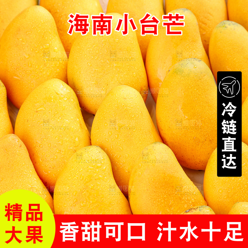 小台芒