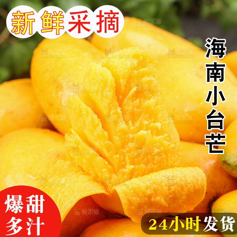 小台芒