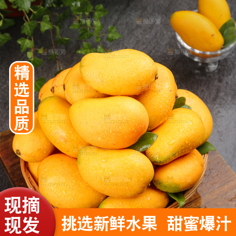 小台芒