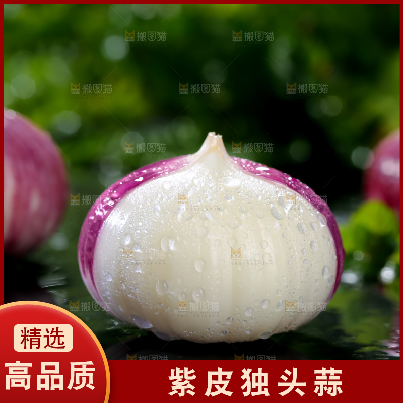 独头蒜