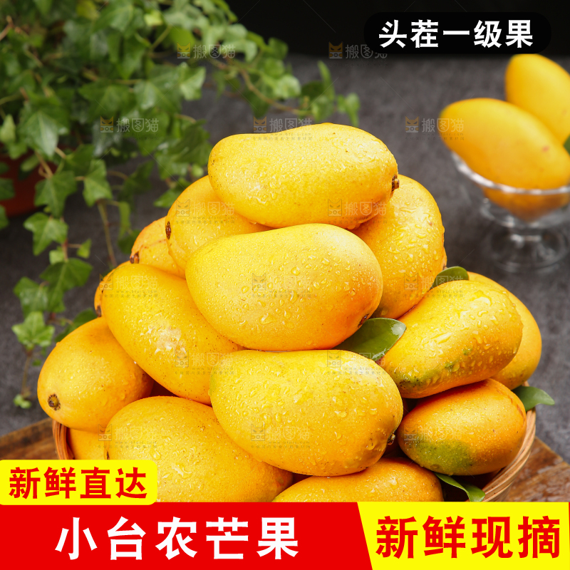 小台芒
