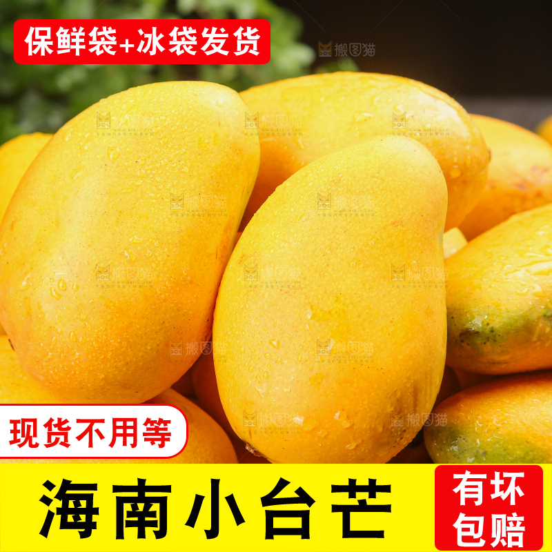 小台芒