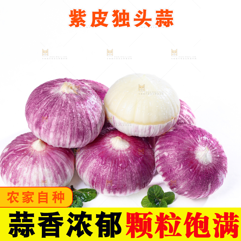 独头蒜