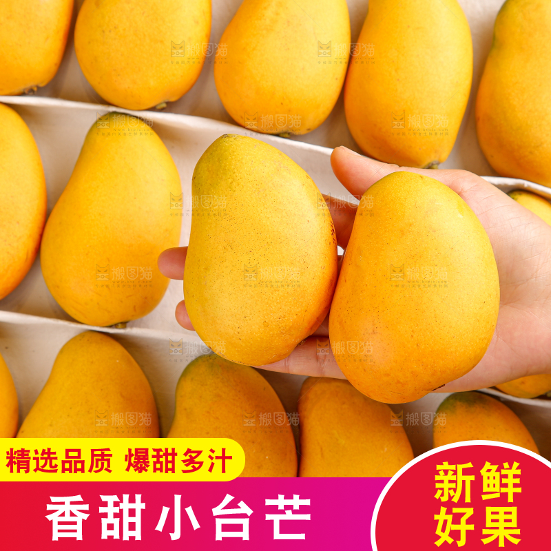 小台芒