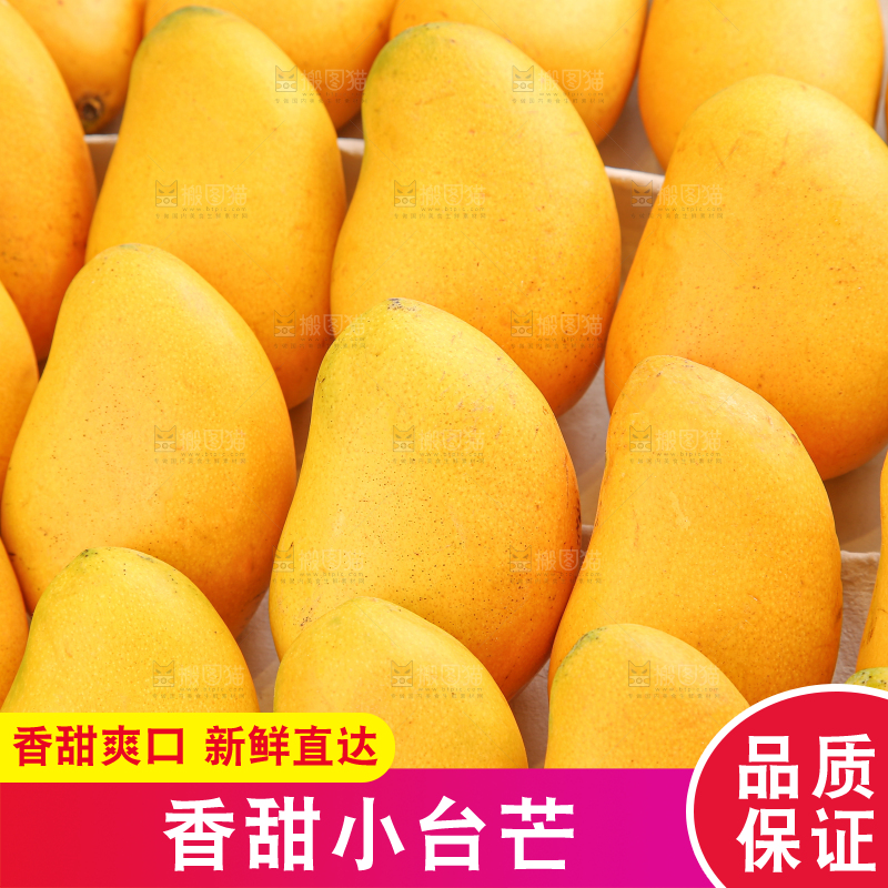 小台芒