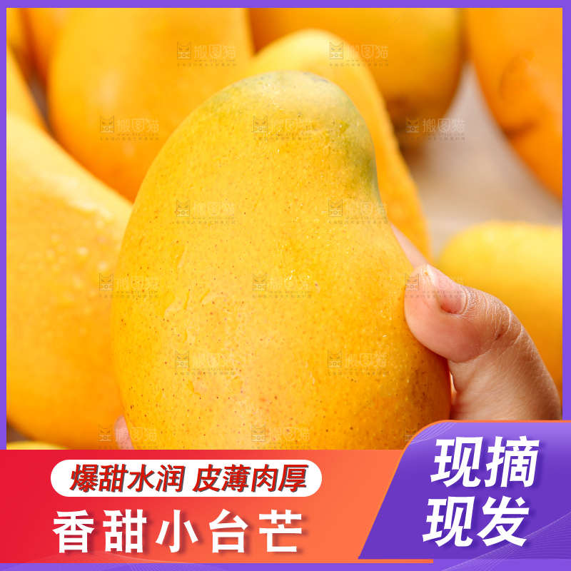 小台芒