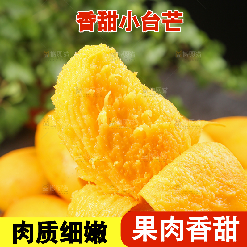 小台芒