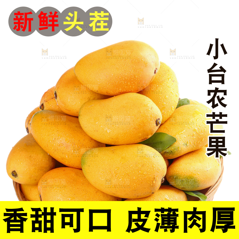 小台芒