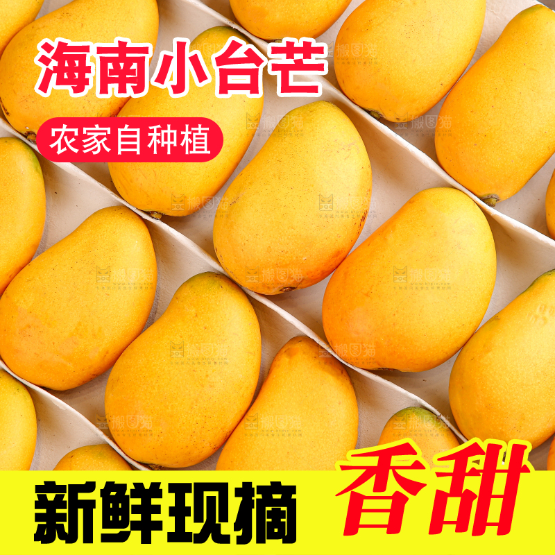 小台芒