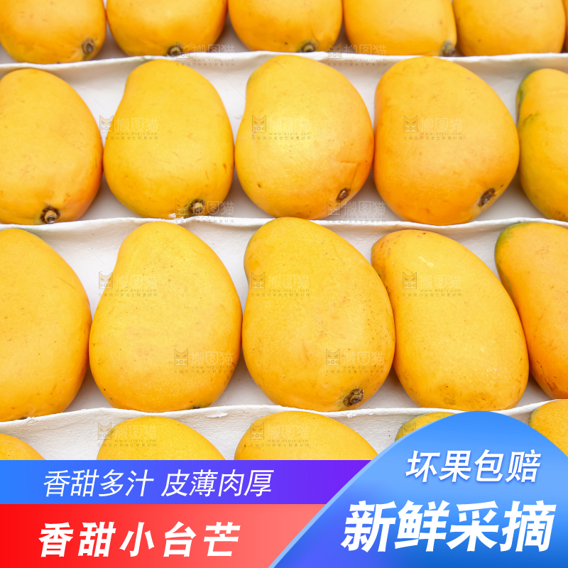 小台芒
