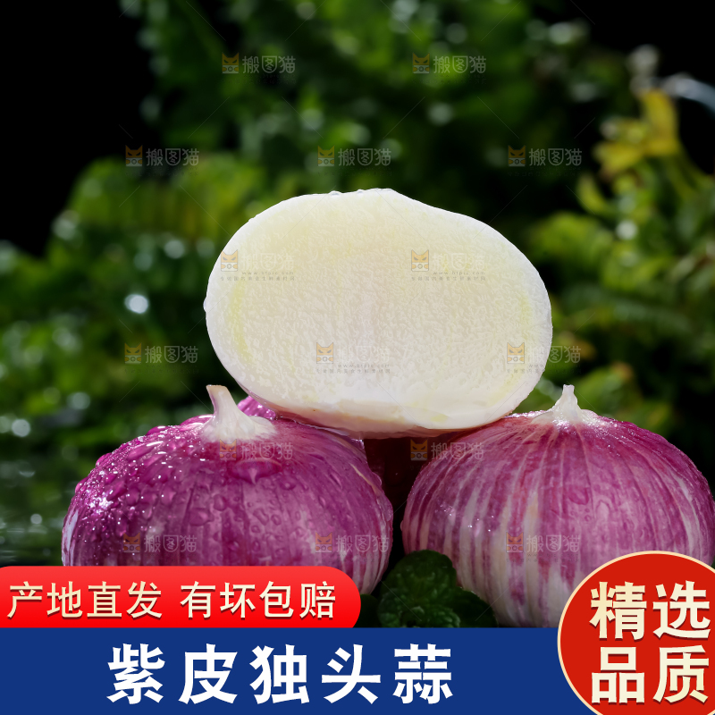 独头蒜