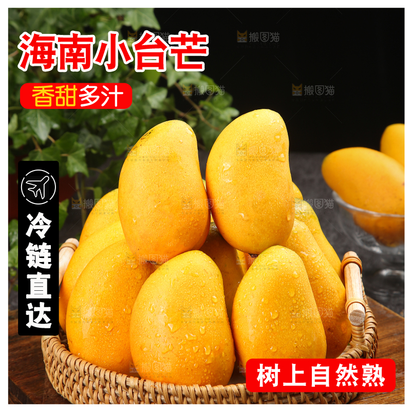 小台芒