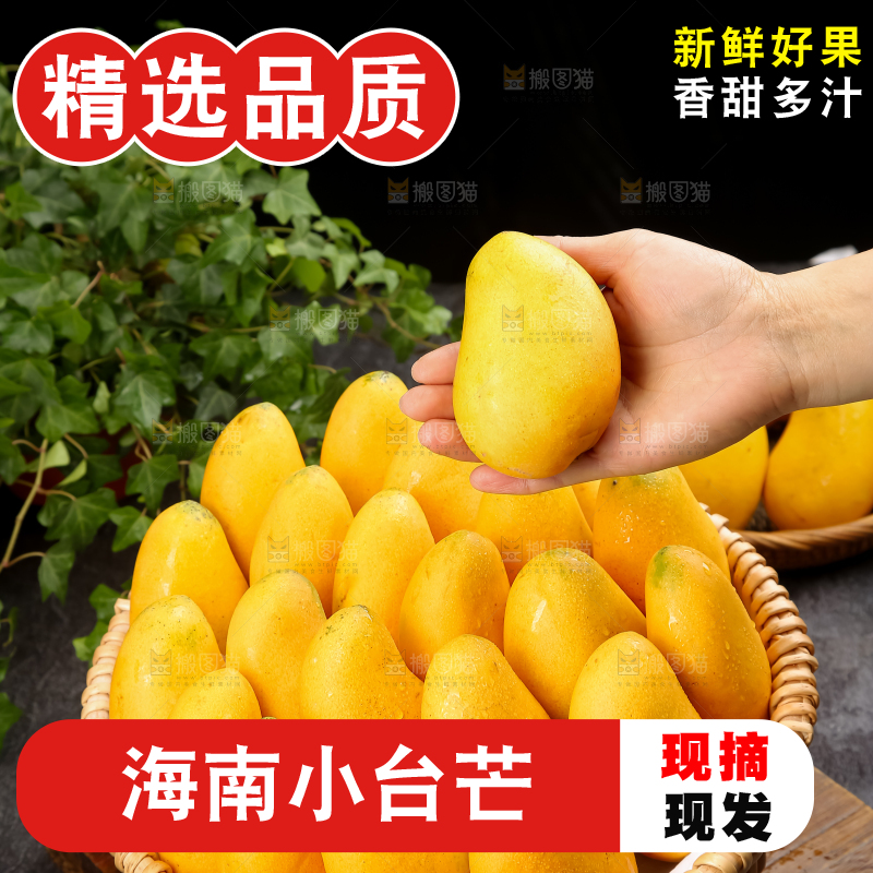 小台芒