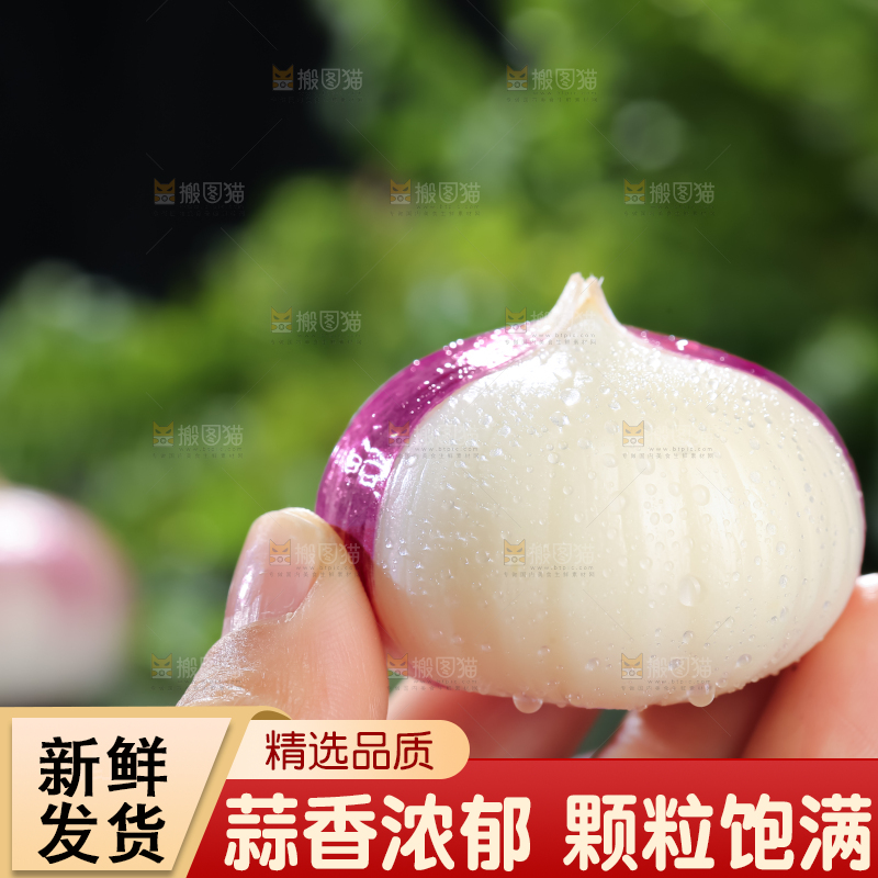 独头蒜
