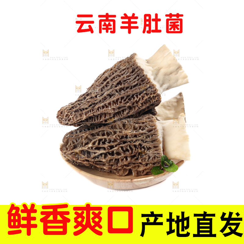 羊肚菌