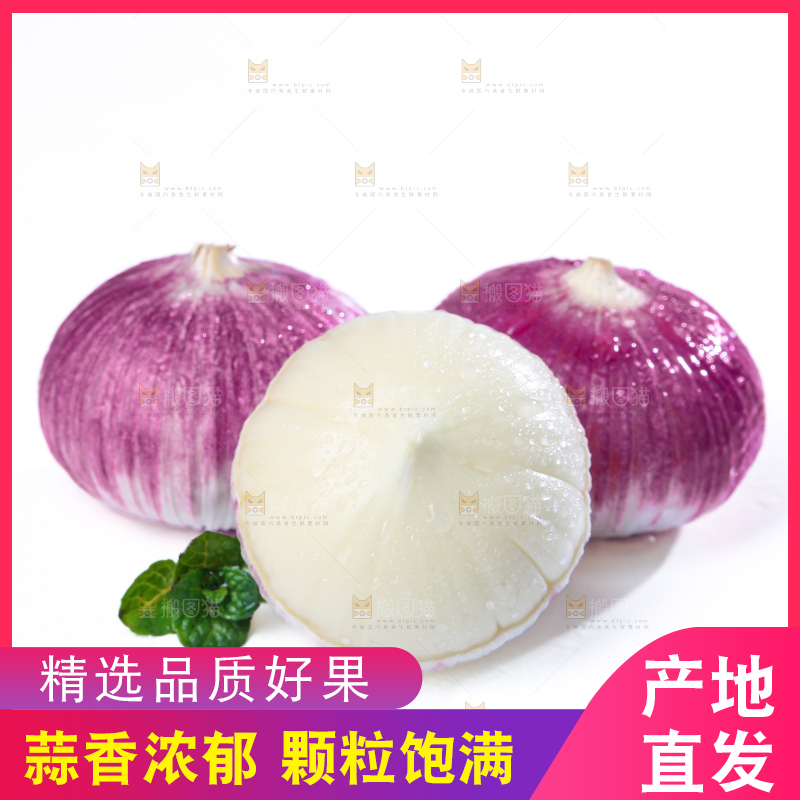 独头蒜
