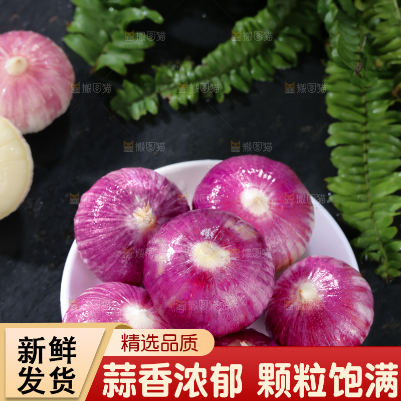 独头蒜