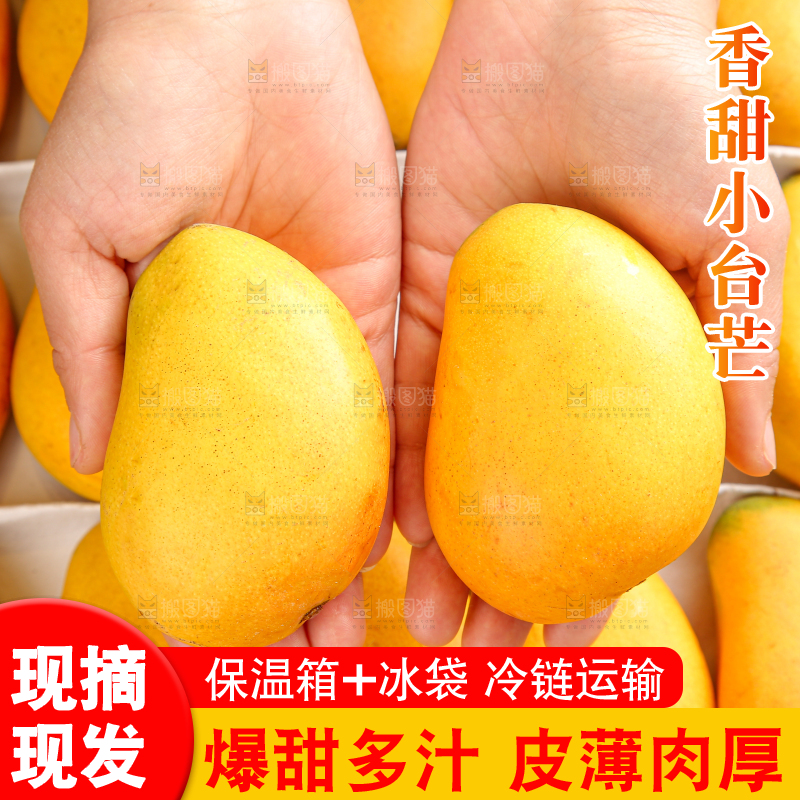 小台芒