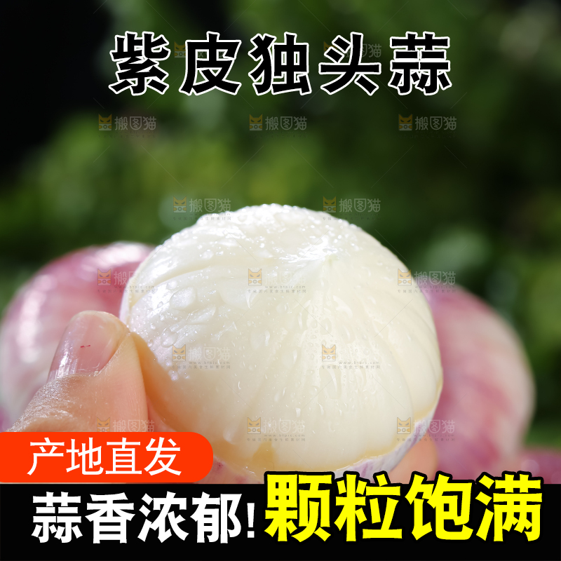 独头蒜