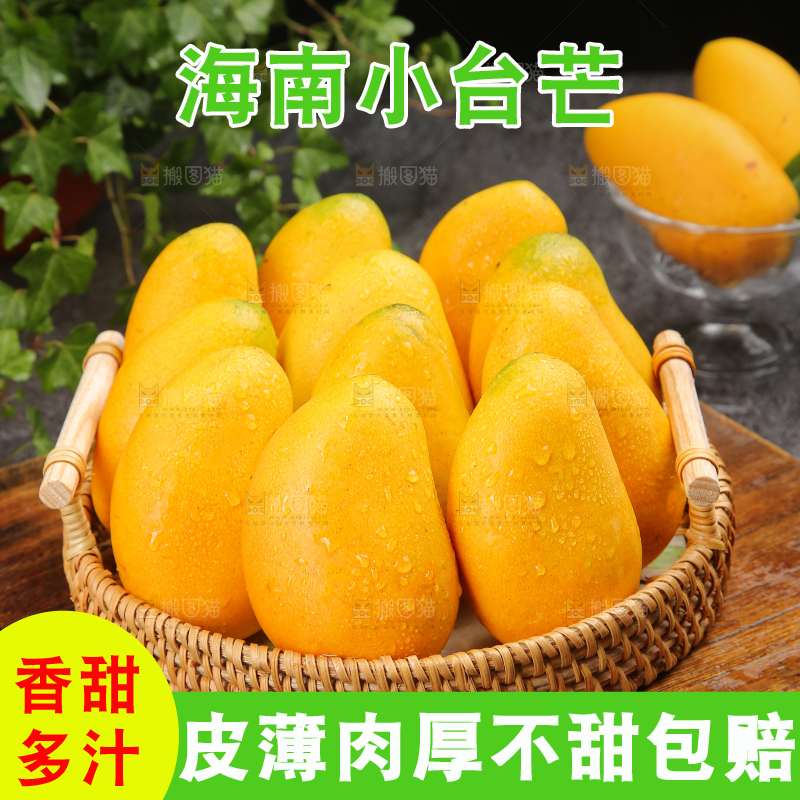 小台芒