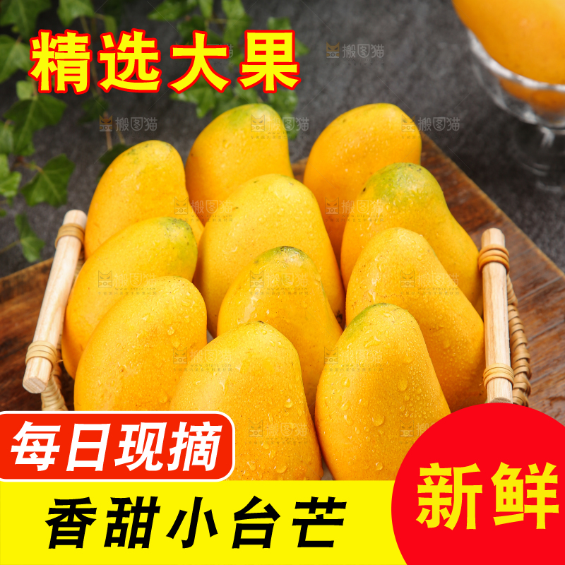 小台芒